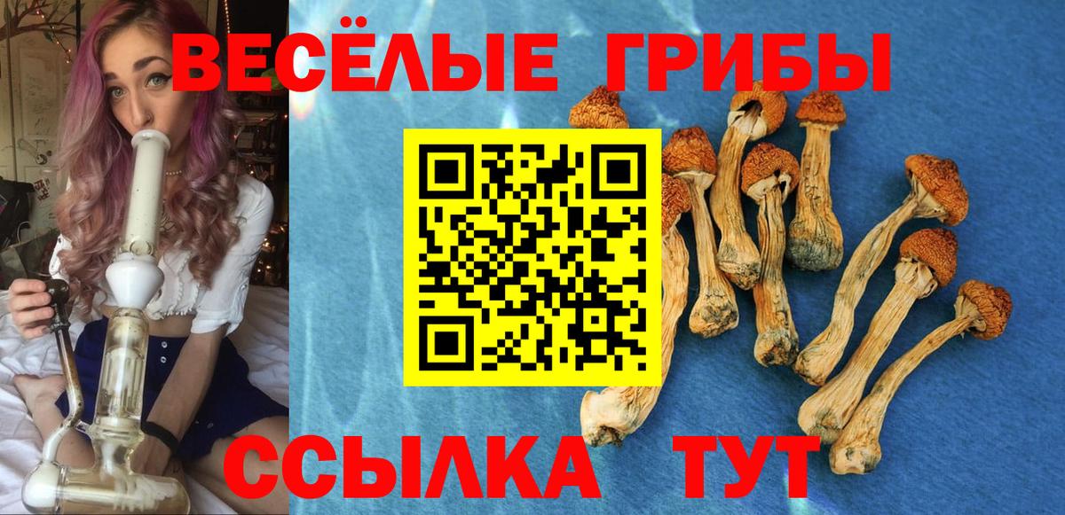 Можайск  Галлюциногенные грибы ЛСД  Вход с VPN  Галлюциногенные грибы Psilocybe 
