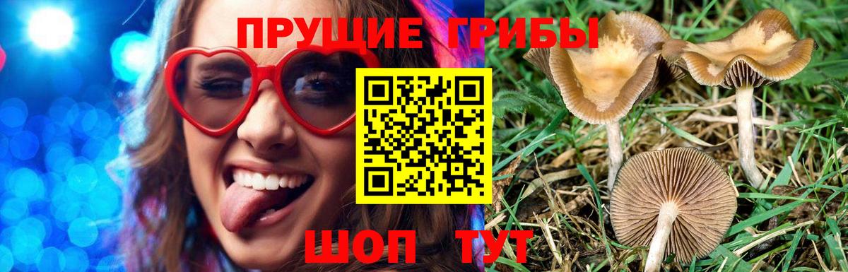 Псилоцибиновые грибы Magic Shrooms Можайск